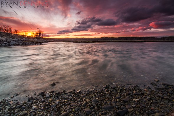 sunsetaprilfoolslogo